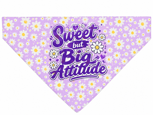 Double-Sided Diva (Reversible)