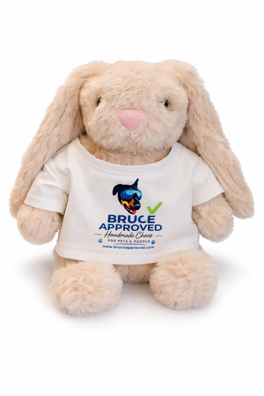 Squeaky Plush Bunny Toy (Customizable Shirt)