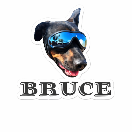 Personalized Cool Pet Head