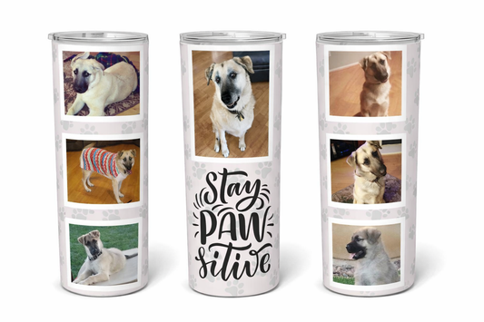 Stay PAWsitive 20oz Tumbler