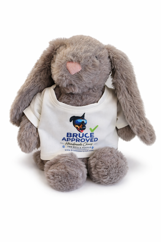 Squeaky Plush Bunny Toy (Customizable Shirt)