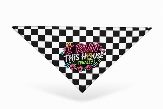 Stay Pawsitive/Run This House (Reversible)