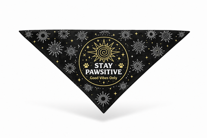 Stay Pawsitive/Run This House (Reversible)