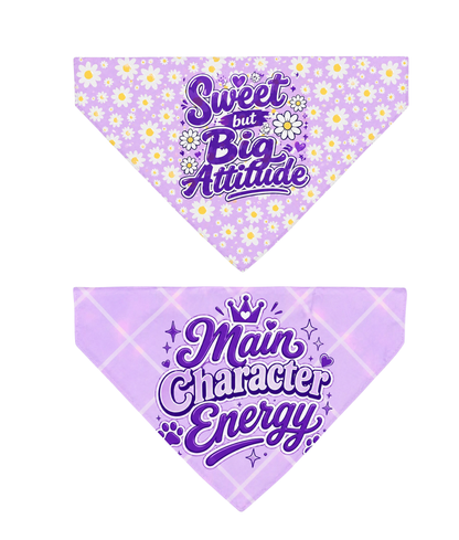 Double-Sided Diva (Reversible)