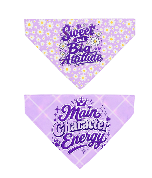 Double-Sided Diva (Reversible)