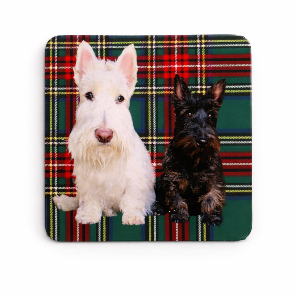Custom Photo Magnet with Personalized Background