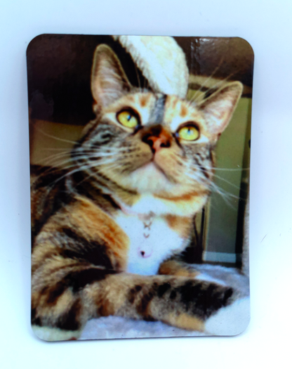 Custom Photo Magnet (Magnet)