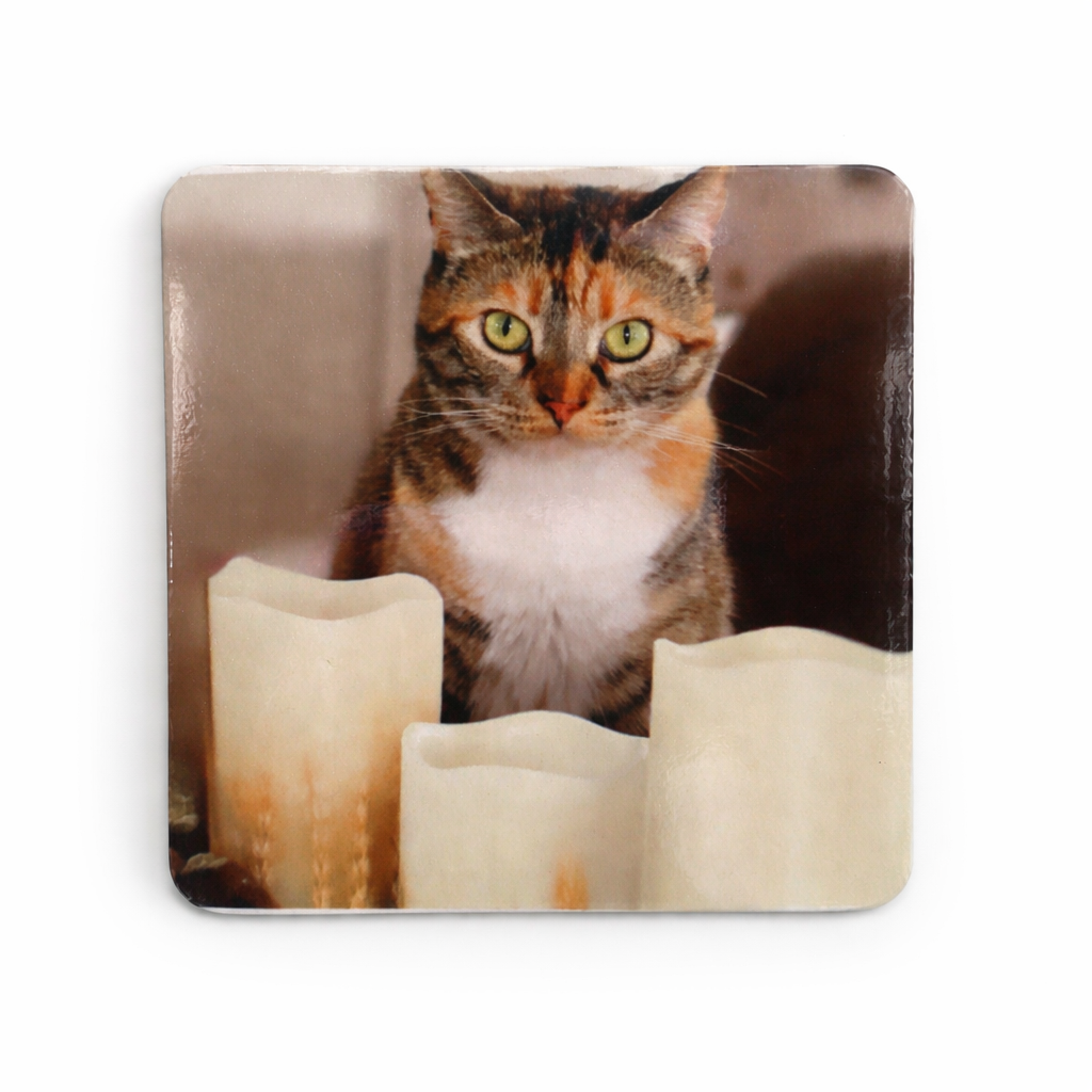 Custom Photo Magnet (Magnet)
