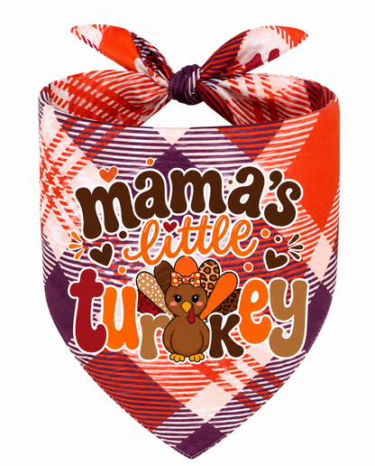 Mama's little turkey/Everyoneis Thankful (Reversible)