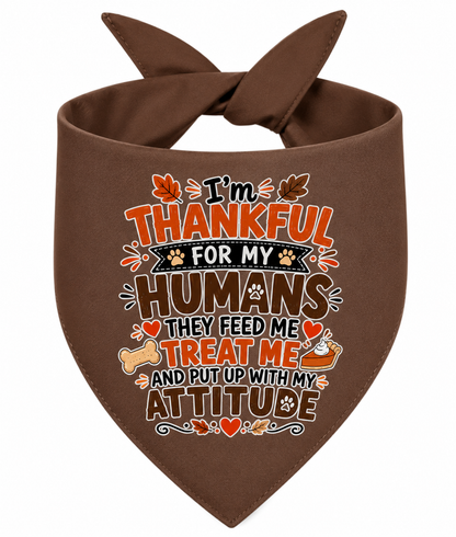 I'm Thankful For