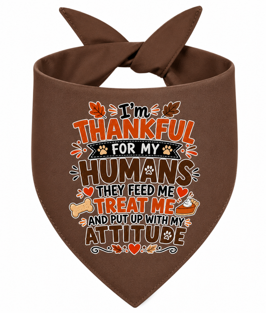 I'm Thankful For