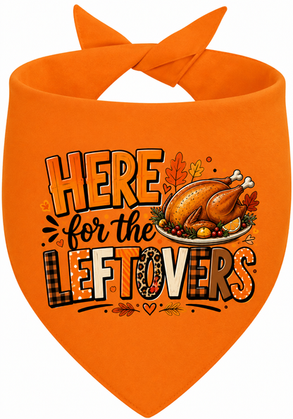 Here for the Leftovers