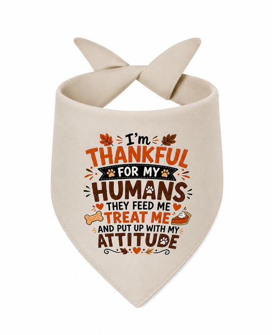 I'm Thankful For