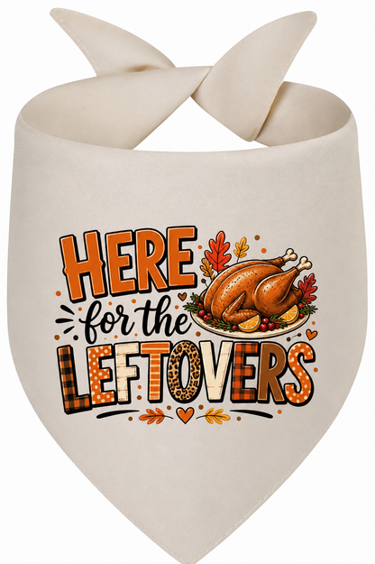 Here for the Leftovers