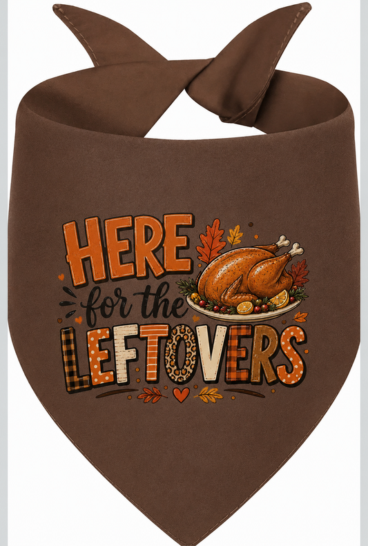 Here for the Leftovers