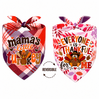 Mama's little turkey/Everyoneis Thankful (Reversible)